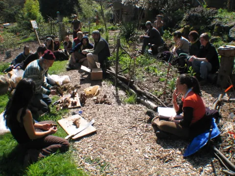 Workshop at TLC Farm