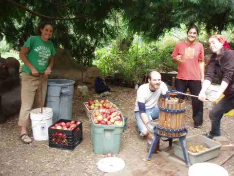 Apple cider making