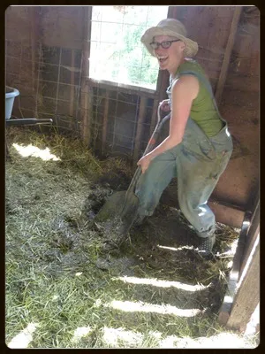 brenna mucking barn.png