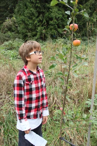 Apple Magic
